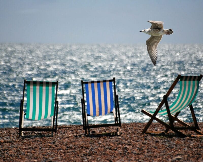 Chairs on beach with bird flying by.